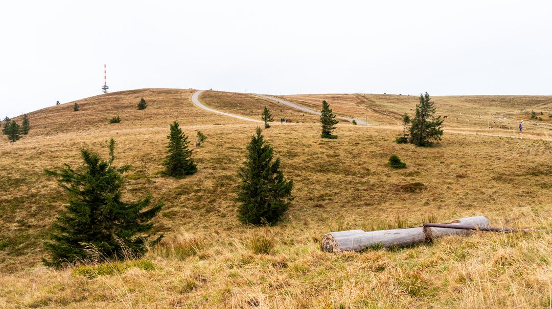 Feldberg 2024 scene 3