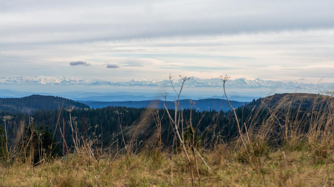 Feldberg 2024 scene 6